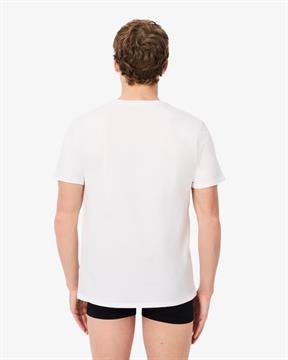 LACOSTE T-SHIRT 3 PEZZI
