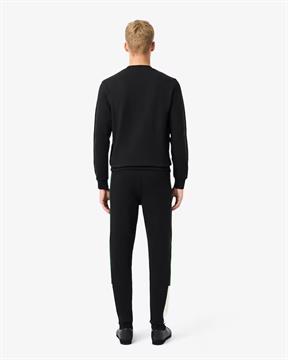 LACOSTE PANTA TUTA