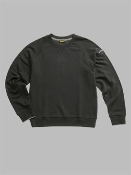 BLAUER FELPA BIRCH