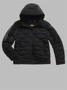 BLAUER PIUMINO FERWOOD