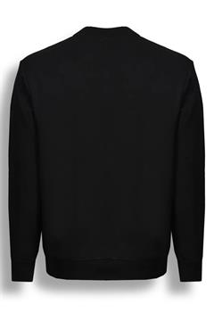 PMDS FELPA EDDY CORNELY