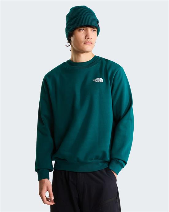 TNF FELPA EVOLUTION I26U N4J VERDE