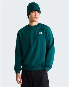 TNF FELPA EVOLUTION I26U N4J VERDE