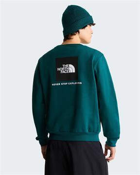 TNF FELPA EVOLUTION I26U N4J VERDE