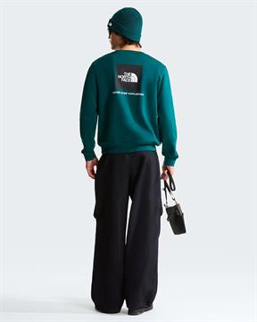 TNF FELPA EVOLUTION I26U N4J VERDE