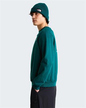 TNF FELPA EVOLUTION I26U N4J VERDE