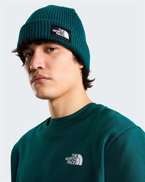TNF FELPA EVOLUTION I26U N4J VERDE