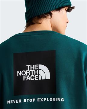 TNF FELPA EVOLUTION I26U N4J VERDE