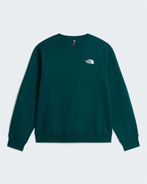 TNF FELPA EVOLUTION I26U N4J VERDE