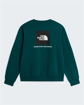TNF FELPA EVOLUTION I26U N4J VERDE